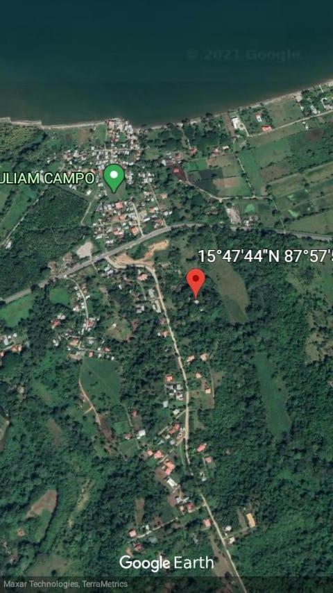 Plasencia Estate Omoa Dış mekan fotoğraf