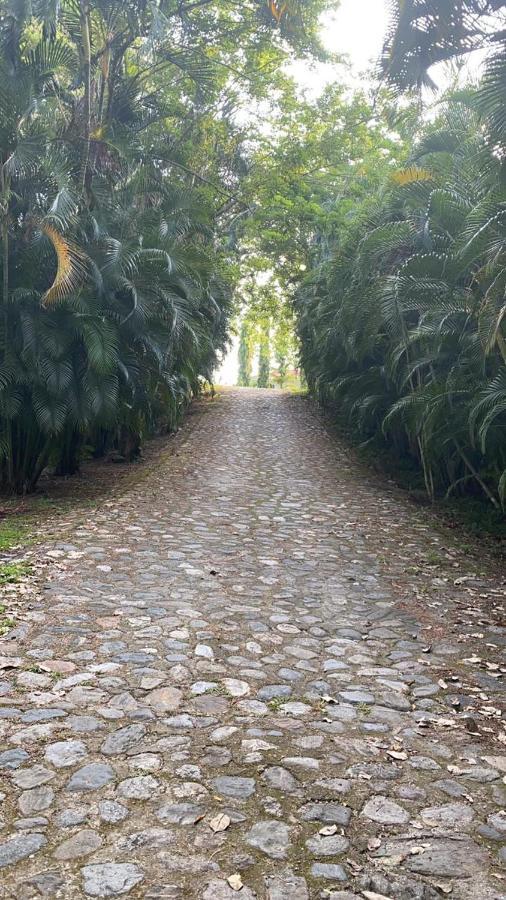 Plasencia Estate Omoa Dış mekan fotoğraf