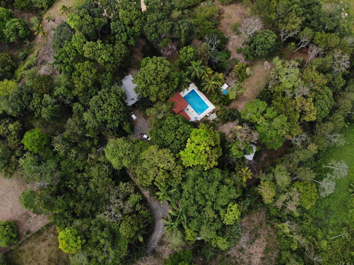 Plasencia Estate Omoa Dış mekan fotoğraf