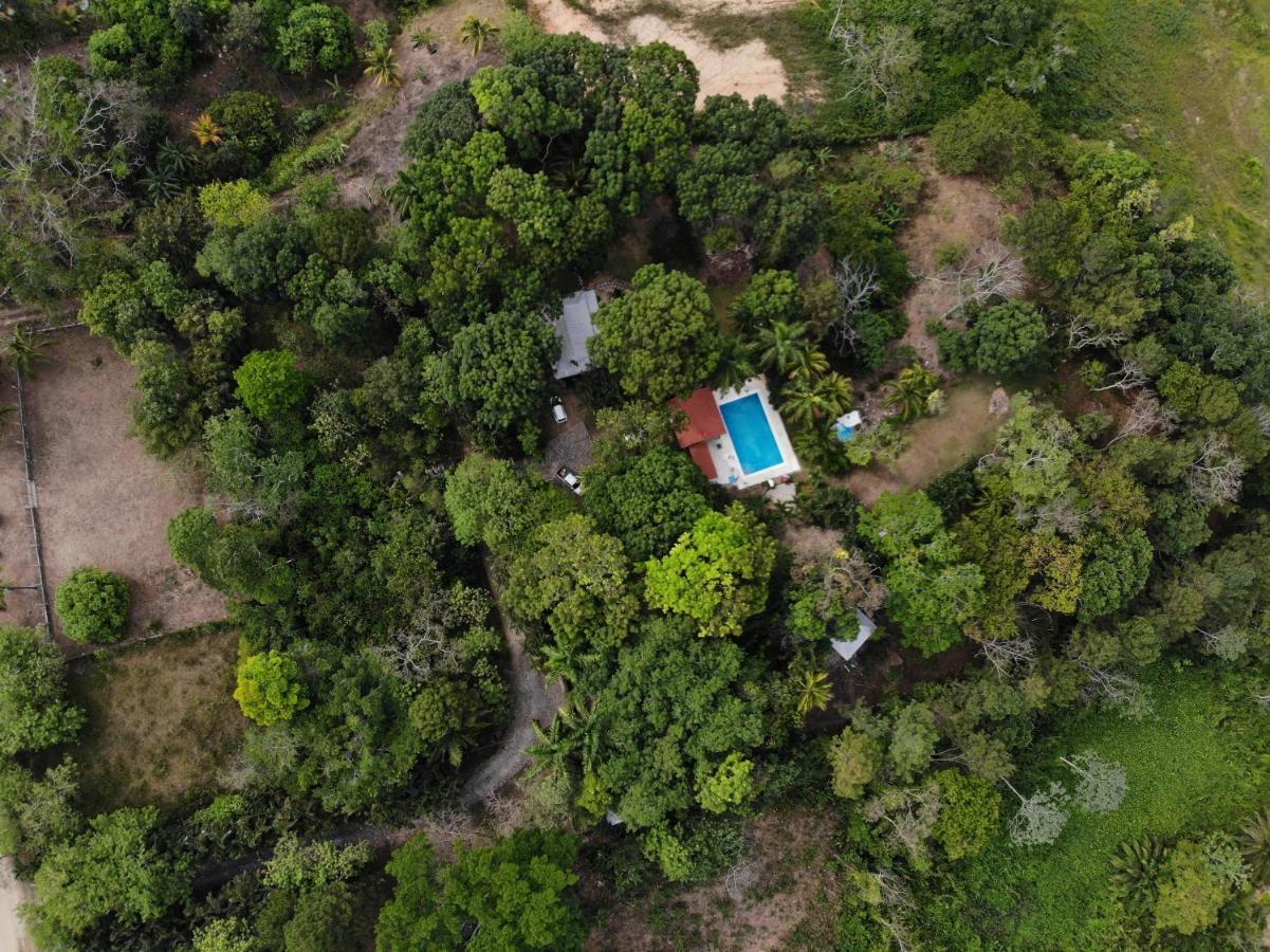 Plasencia Estate Omoa Dış mekan fotoğraf